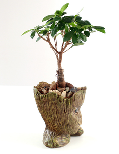 Hecho a mano decoración del hogar moderno diseño personalizado poliéster <span class=keywords><strong>groot</strong></span> pote de flor - Product Image 3