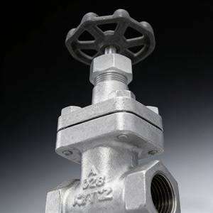 Vanne en fonte ductile 20KSLS JIS 20K à extrémités à brides manuelles DN15/DN20 pour applications eau et huile, support personnalisé 028 20KSLS JIS 20 - Product Image 1