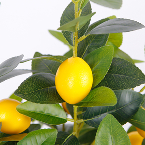 <span class=keywords><strong>Citronnier</strong></span> réaliste de 1.5m de hauteur en pot <span class=keywords><strong>pour</strong></span> café-restaurant arbres fruitiers réalistes décoratifs - Product Image 2