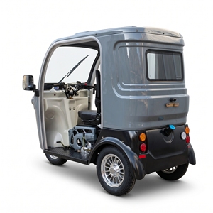 Mototaxi de Gasolina en Oferta, Triciclo de Pasajeros de 250 CC <span class=keywords><strong>para</strong></span> Personas con Discapacidad - Product Image 1