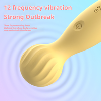 Meistverkaufter Silikon-Massagevibrator 12 Vibrationsmodi Flirt-Vibro-Eier Klitoris-Vibrator Erotikspielzeug für Erwachsene
