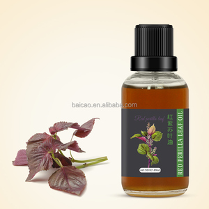 Harga diskon 100% minyak esensial daun <span class=keywords><strong>Perilla</strong></span> merah alami murni dalam jumlah besar - Product Image 2