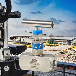 FD-LOK 1/2 pollici di potenza manuale gpl globo di controllo del flusso valvola a spillo ad alta temperatura in acciaio inox supporto compatibile - Product Image 3