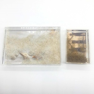 Acrylic Lỏng Khung Ảnh Cát Với Biển Sao Biển Bãi Biển Phong Cách Đại Dương Khung Ảnh Đại Bàng - Product Image 5