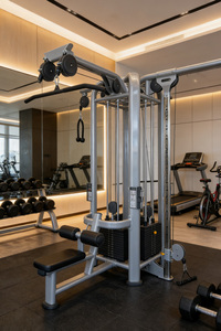 Attrezzatura per Allenamento di Forza <span class=keywords><strong>KFS</strong></span>, Macchina Fitness Commerciale Best Seller - Product Image 4