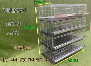 Jaulas de pollos para granjas de Sudán Jaula de pollos Máquina automática de recolección de <span class=keywords><strong>huevos</strong></span> Jaulas de 3 pisos para pollos de engorde - Product Image 3