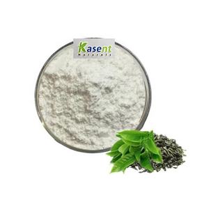 ผง <span class=keywords><strong>L</strong></span>-<span class=keywords><strong>theanine</strong></span> สารสกัดจากชาเขียวออร์แกนิก Cas.3081-61-6 40% 20% 98% <span class=keywords><strong>L</strong></span>-<span class=keywords><strong>theanine</strong></span> <span class=keywords><strong>BULK</strong></span> - Product Image 3