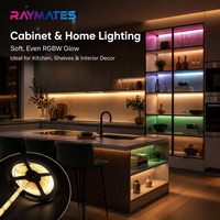 Bande LED COB RGBCCT Raymates 840 LED, bande LED RGBW, RGB+3000K, 24V, 12mm, pour la décoration de la pièce/l'hôtel/du bureau, garantie 3 ans