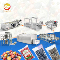 ORME Mango Clean Machine Geautomatiseerde productielijn voor het wassen en snijden van diepvriesgroenten en -fruit