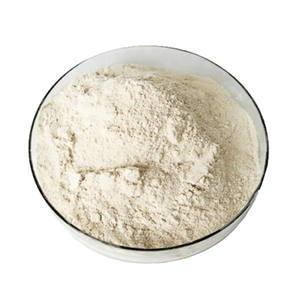 Poudre de protéines de riz crue biologique de qualité alimentaire en vrac - Product Image 2