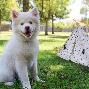 Chien et chat tipi lit Portable tente pour <span class=keywords><strong>animaux</strong></span> de compagnie <span class=keywords><strong>maison</strong></span> lavable respirant Cage pour <span class=keywords><strong>animaux</strong></span> de compagnie pour petit animal de compagnie - Product Image 4
