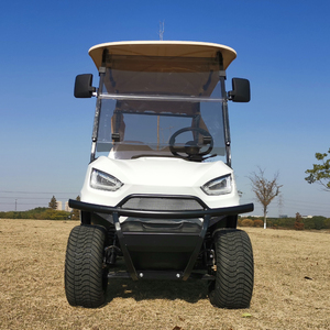 Juridique Voiturette De <span class=keywords><strong>Golf</strong></span> <span class=keywords><strong>2022</strong></span> New Vintage <span class=keywords><strong>Mini</strong></span> Électrique Rue Lancé 2 Sièges 1 - 2 Arrière Mécanique De la Roue De Frein 25-40km/h - Product Image 6