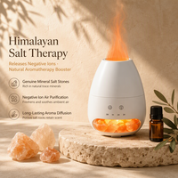 Fabricant de diffuseurs à flamme volcanique, diffuseur d'huiles essentielles en pierre de sel de l'Himalaya, Type-C, OEM ODM Marque privée Vente en gros
