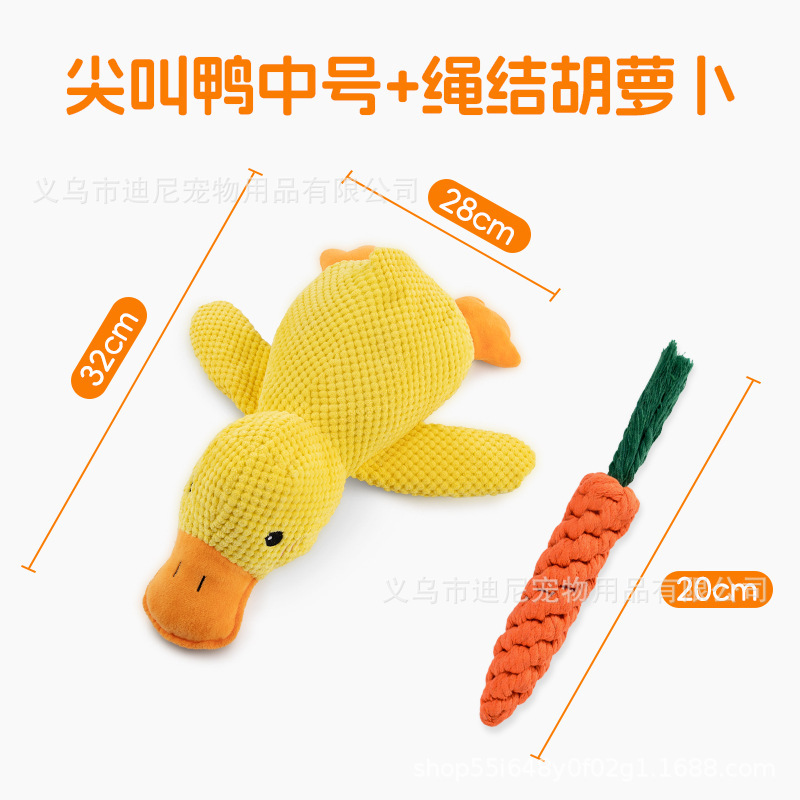 Carota con piccolo nodo di corda