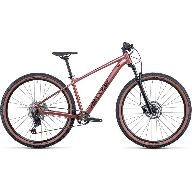 Mtb Big Bicycle Brands Reid Cycles Mountain Bike Reid MTB Sport