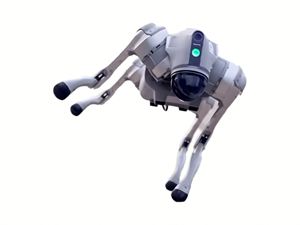 Robot quadrupède Unitree Go2 - Navigation autonome par IA et évitement d'obstacles pour l'inspection et la recherche industrielles - Product Image 2