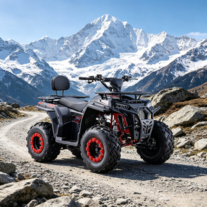 <span class=keywords><strong>Cuatrimoto</strong></span> ATV de Gasolina de 180cc en Oferta, con Neumáticos Grandes de 10 Pulgadas, Vehículo Todoterreno Profesional de 4 Ruedas para el Mercado de Oriente Medio - Product Image 4