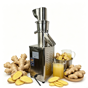 Extracteur de jus professionnel à grande capacité en acier inoxydable avec alimentation automatique <span class=keywords><strong>verticale</strong></span> et large <span class=keywords><strong>goulotte</strong></span> pour fruits (pommes, oranges) - Product Image 1
