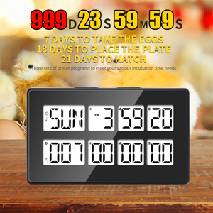 LCD Display Multifunctional Dual Channel Digital Kitchen <strong>Countdown</strong> <strong>Timer</strong> - Product Image 5