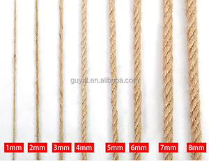 Hot Bán Tự Nhiên Đay <span class=keywords><strong>Twine</strong></span> Gai <span class=keywords><strong>Twine</strong></span> 1Mm-14Mm Cho Bao Bì Dây - Product Image 2