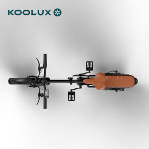 Vélo pliant EU Stocks KOOLUX X10 7 vitesses, léger, compact, pneus larges, moteur sans balais, batterie au lithium - Product Image 4