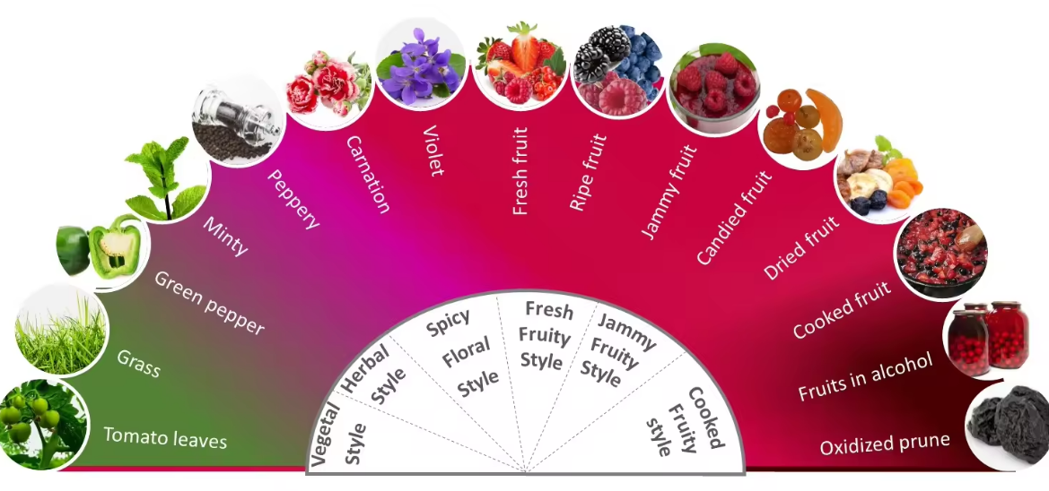 ติดต่อฉันรับแค็ตตาล็อก