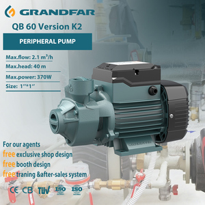 Pompe à eau de surface domestique en fonte de haute qualité Grandfar QB60 370W 40M OEM pour eau propre QB60-K2 - Product Image 1
