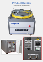 Sumber Laser Serat Raycus 20W 30W 50W 1064nm Modul Laser Berkualitas Tinggi untuk Mesin Penanda Laser Serat