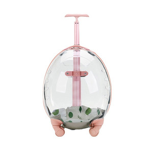 Chariot de transport <span class=keywords><strong>pour</strong></span> animaux de compagnie en plastique portable de luxe, avec roues, transparent, capsule spatiale solide, <span class=keywords><strong>poussette</strong></span> <span class=keywords><strong>pour</strong></span> chien et <span class=keywords><strong>chat</strong></span> <span class=keywords><strong>pour</strong></span> les voyages en plein air - Product Image 2