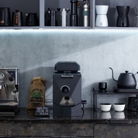 Tostador de Café Eléctrico para Uso Doméstico, Máquina para Tostar Granos de Café, Suministro de Fábrica Skywalker