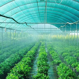 90 Percent Green Shade Net Shade Cloth <strong>Netting</strong> Mushroom Shade Net for Agriculture - Product Image 5