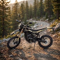 Surron Ultra Bee, Sur Ron Ultra Bee, Moto tout-terrain électrique Ultra Bee, Motocross électrique pour adultes, Moto électrique tout-terrain