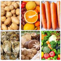 Machine à laver et à éplucher les légumes et les fruits, brosse à carottes, équipement de lavage, graines d'olives, nettoyage du tambour