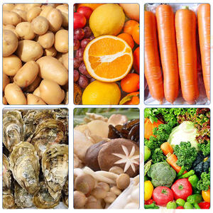 Macchina Lavatrice e Pelatrice a Tamburo <span class=keywords><strong>per</strong></span> Carote, Semi di Oliva, Verdure e Frutta - Product Image 6