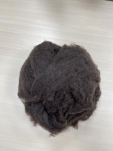 <span class=keywords><strong>Laine</strong></span> <span class=keywords><strong>de</strong></span> <span class=keywords><strong>Yak</strong></span> 100% <span class=keywords><strong>de</strong></span> haute qualité en brun foncé et blanc naturel épilée et cardée excellent <span class=keywords><strong>prix</strong></span> d'usine - Product Image 6