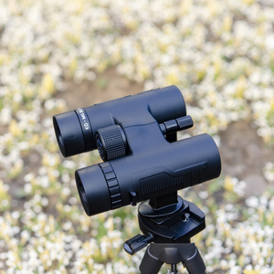 OEM/ODM <span class=keywords><strong>Lambda</strong></span> 8x32 teropong dewasa atap SMC MG campuran ED kaca IPX7 tahan air Bak4 HRDC pusat fokus teleskop L0833 - Product Image 6