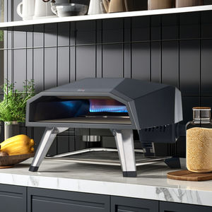 Precio de fábrica, <span class=keywords><strong>horno</strong></span> de pizza de gas portátil comercial de 12 pulgadas, tostadora al aire libre, el mejor <span class=keywords><strong>horno</strong></span> de pizza de barbacoa de gas con certificación CE - Product Image 3