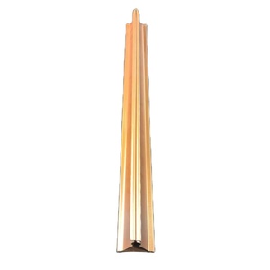 Chine Finition galvanisée à chaud Triceratops Squelette 2025 <span class=keywords><strong>Quille</strong></span> triangulaire <span class=keywords><strong>de</strong></span> conception moderne pour panneau <span class=keywords><strong>de</strong></span> plafond en aluminium - Product Image 1