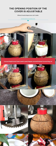 Máquina Cortadora de Coco Tipo Diamante, Precio Económico, Pelador de Coco con Máquina de Corte, Larga Duración de Funcionamiento - Product Image 4