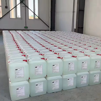 TAPEH 686-31-7 Initiateur de polymérisation pour LDPE et acrylique, peroxytert-amyl-2-éthylhexanoate TAPEH