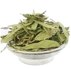 Vendita all'ingrosso secche foglie di tè stevia-Fornitura all'ingrosso di Nuovo secchi STEVIA foglie di tè per la vendita