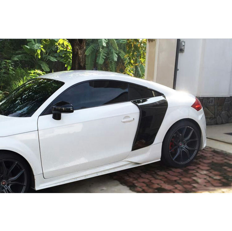 DarwinPRO DPRG Style Carbon Fiber Side Blades Body Kit for Audi TT