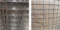 Haute résistance 1/2X1/2 pouces fil de fer galvanisé maillage soudé matériel tissu rouleau rentable jardin artisanat coupe carrée