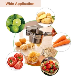 Écraseur à pommes de terre en acier inoxydable robuste et portable, 3 passoires interchangeables, outil de pressage facile à utiliser, usage domestique - Product Image 5