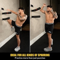 Barre d'entraînement murale Wellshow Sport avec support pour téléphone, sac de frappe pour la boxe, entraîneur de réflexes