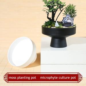 Dia.13cm H.8cm lindo clásico grande poco profundo redondo plástico <span class=keywords><strong>ciruelo</strong></span> flor <span class=keywords><strong>bonsai</strong></span> maceta con tallo alto - Product Image 5