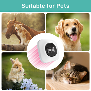 Animaux de compagnie santé thérapie au laser plaie articulaire gonflement infalmmation réhabilitation instruments médicaux vétérinaires - Product Image 6