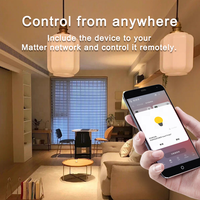 Variateur intelligent Matter Over Thread pour éclairage à intensité variable, produits pour la maison intelligente