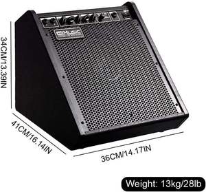 Professional <b>10</b>-<b>Inch</b> Woofer 100W for Electric Drum Amplifier 3-Band EQ for 2 Audio Inputs 2.0 Channel Metal Construction - Product Image 4
