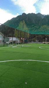 Terrain <span class=keywords><strong>de</strong></span> football standard 5-<span class=keywords><strong>a</strong></span>-Side terrain <span class=keywords><strong>de</strong></span> football en gazon artificiel avec <span class=keywords><strong>cage</strong></span> et clôture en acier - Product Image 6